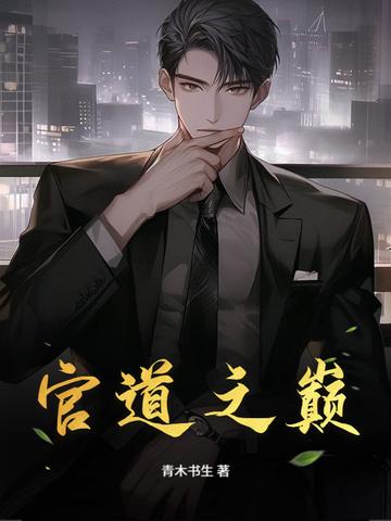 官道之巅 官道之巅