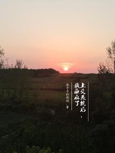 被系统赖上后我爱情事业双丰收 被系统赖上后我爱情事业双丰收