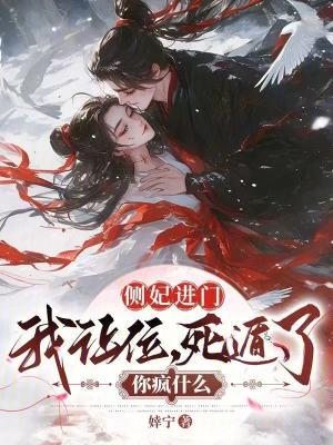 侧妃进门我让位,死遁了你疯什么 侧妃进门我让位,死遁了你疯什么