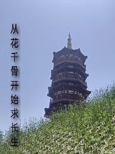 从花千骨开始求长生 从花千骨开始求长生