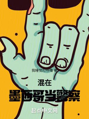 混在墨西哥当警察 混在墨西哥当警察